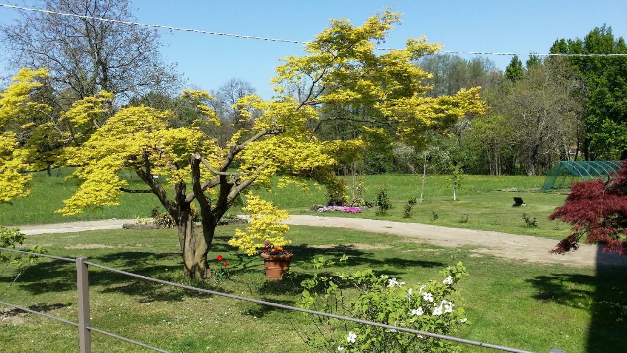 Sei A Sereia Invorio Inferiore Esterno foto